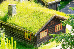 living roof